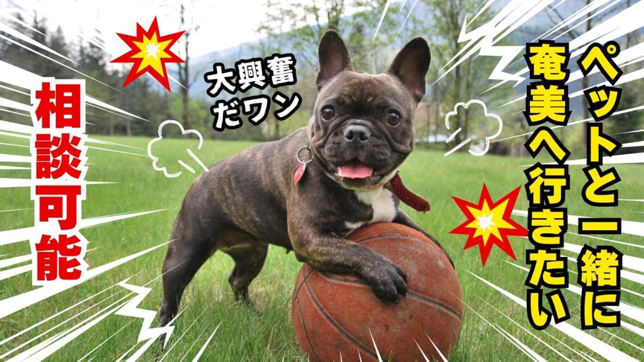 大人数で泊まれる宿一棟貸しkise-㐂瀬- Villa *